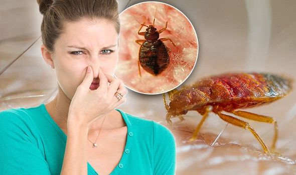 Foul or Unusual Odours