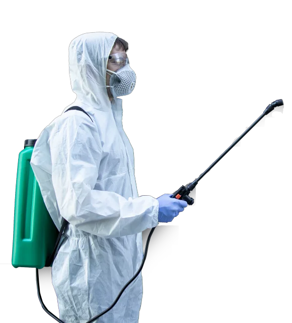Pest Control in Ahmedabad