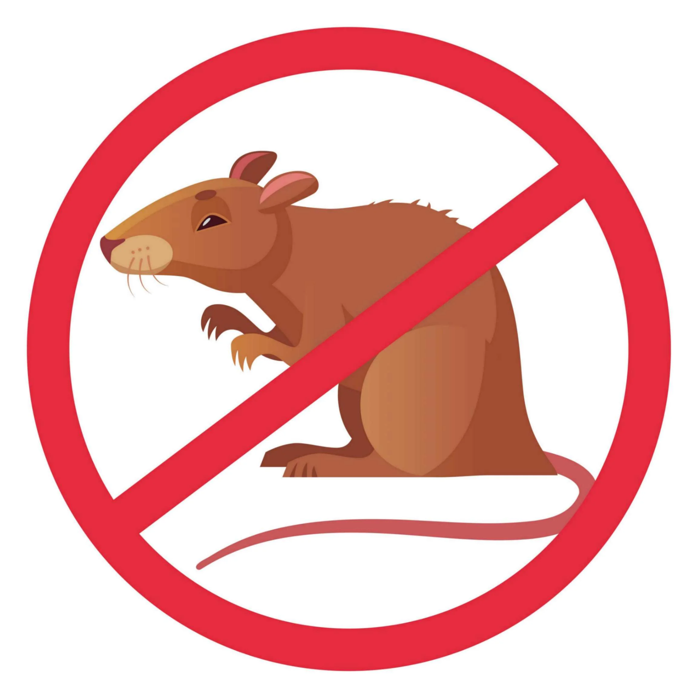 rodent service
